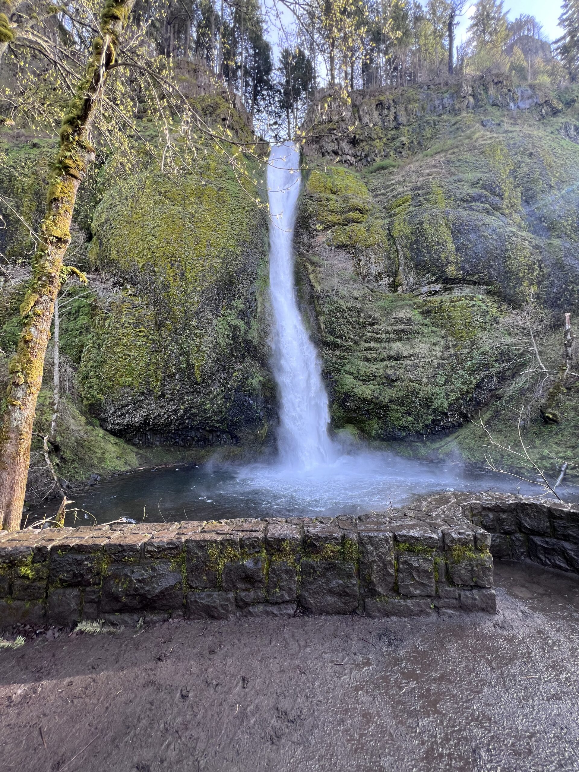 Horsetail Falls - Oregon