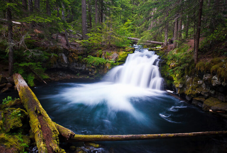 Whitehorse Falls in Toketee Oregon