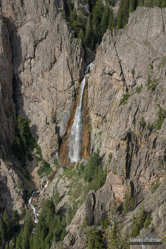 Bucking Mule - Bighorn Canyon Nat'l Rec. Area - Wyoming