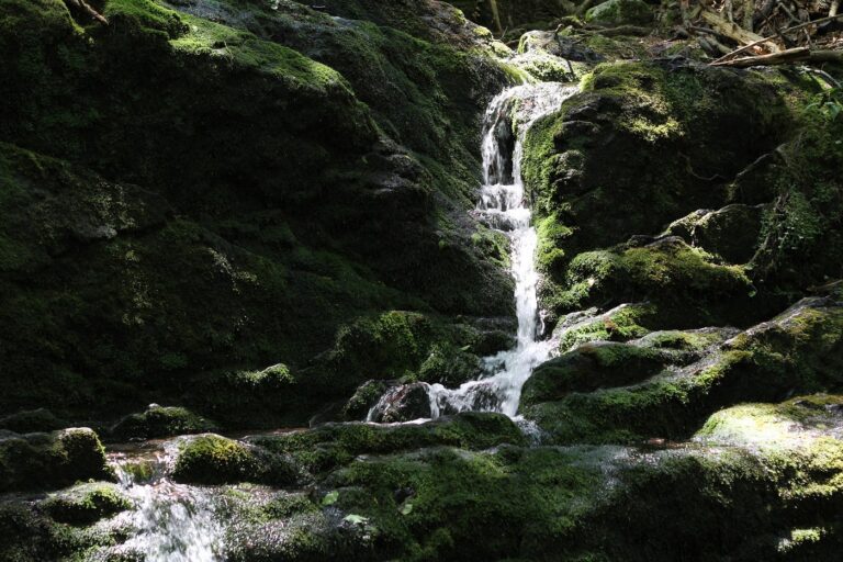 Buttermilk Falls New Jersey