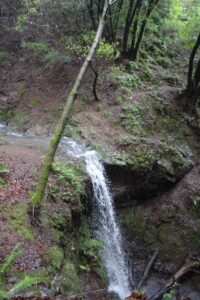 Dawn Falls - California