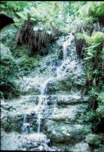 Devils Millhopper Falls - Florida