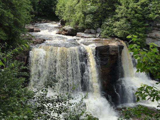 Elakala Falls -West Virginia- Davis