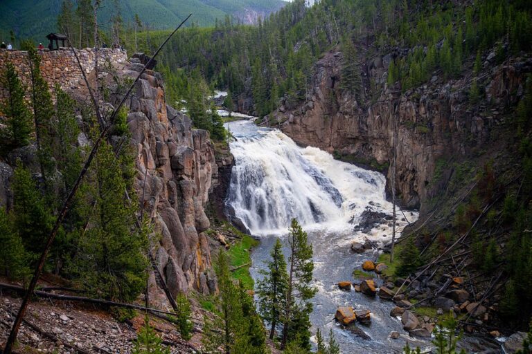 Gibbon Falls - Yellowstone National Park - Wyoming