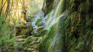 Gorman Falls - Waterfall in Texas