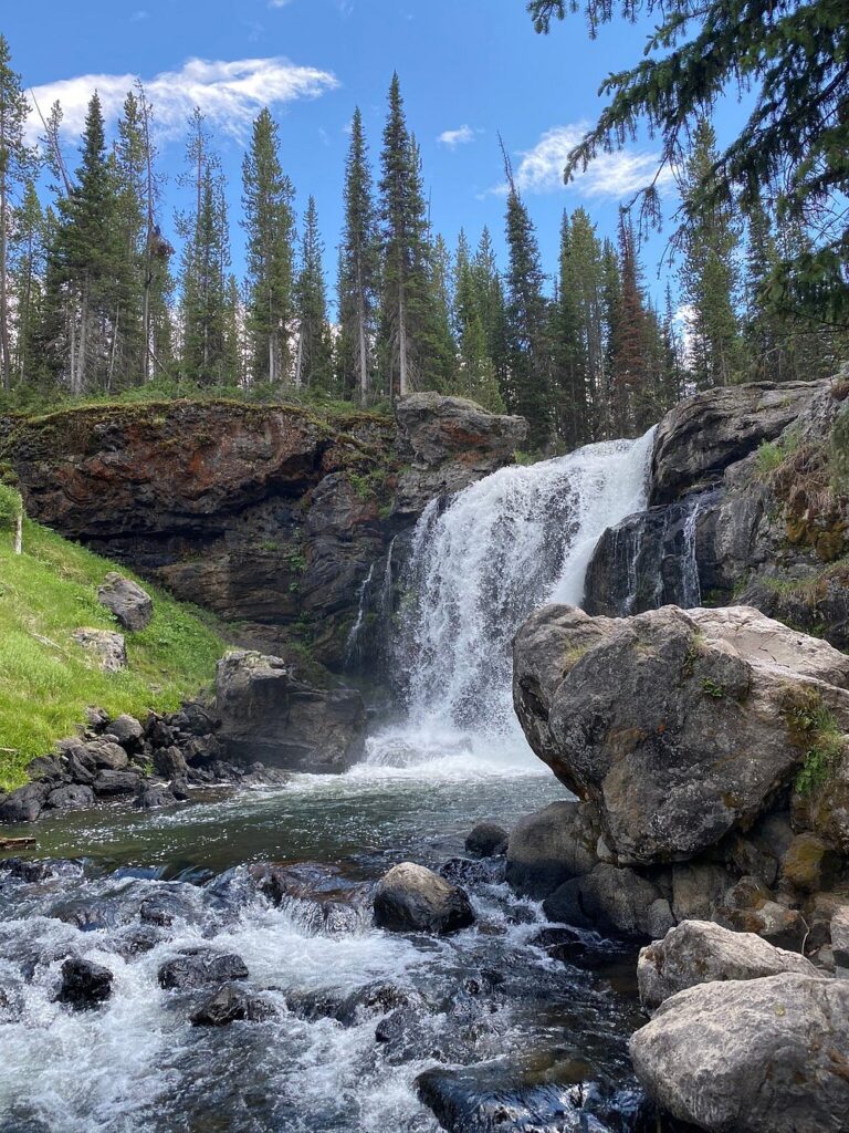 Moose Falls - Yellowstone National Park - Wyoming