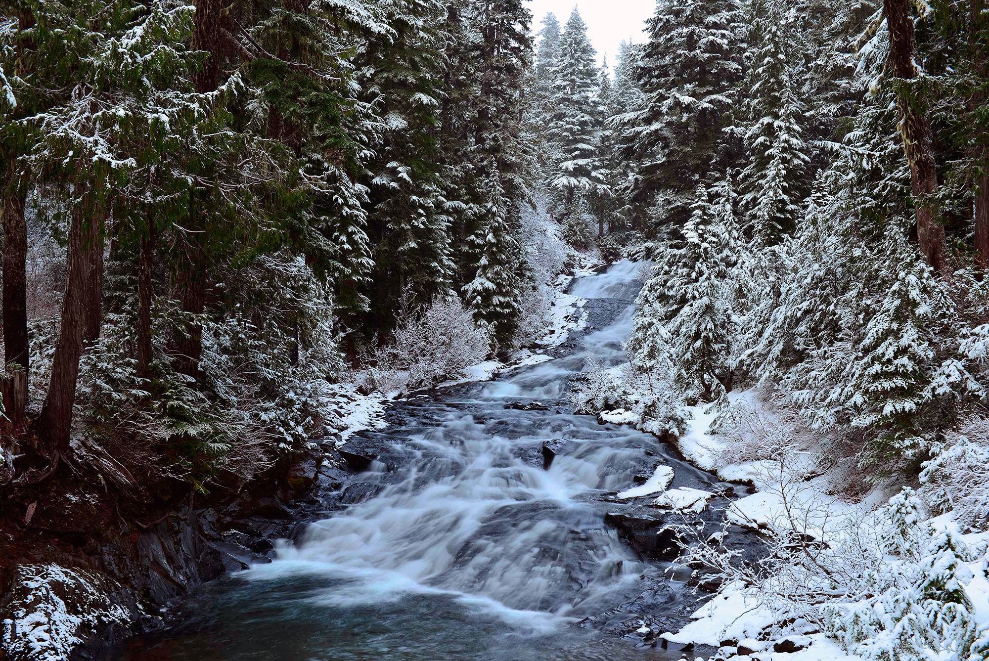 Washington Cascades - Paradise, Washington